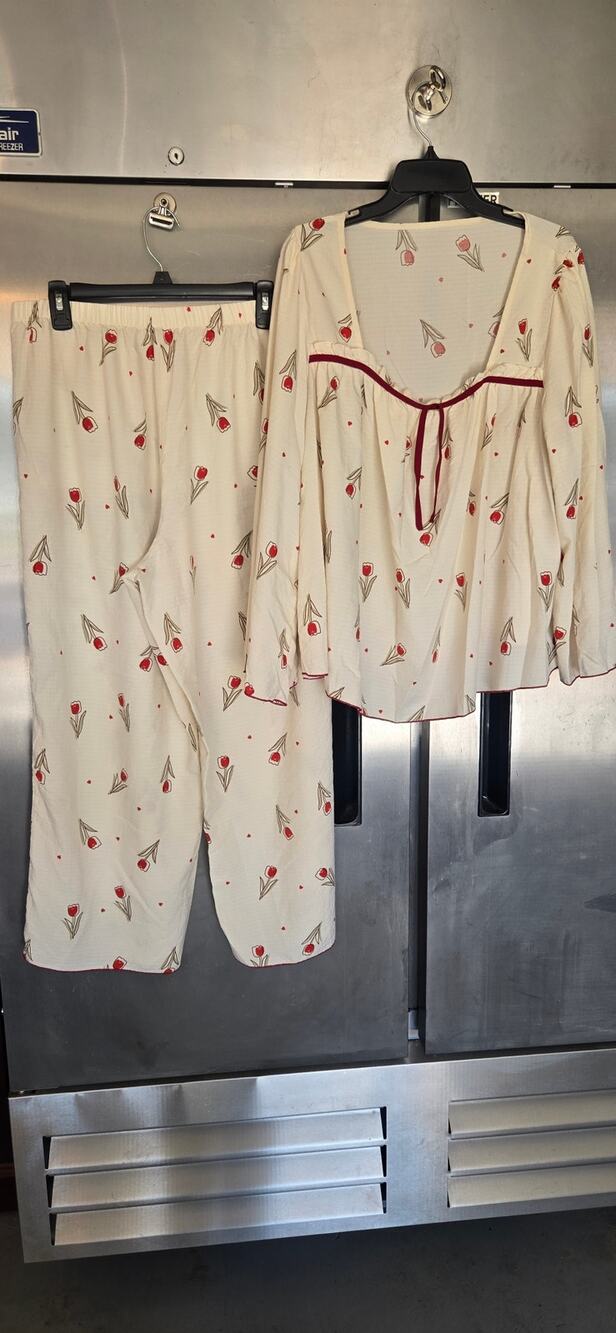Womens Size 1X Cream Floral Smocked Tie-Neck Top & Pants Two-Piece Set